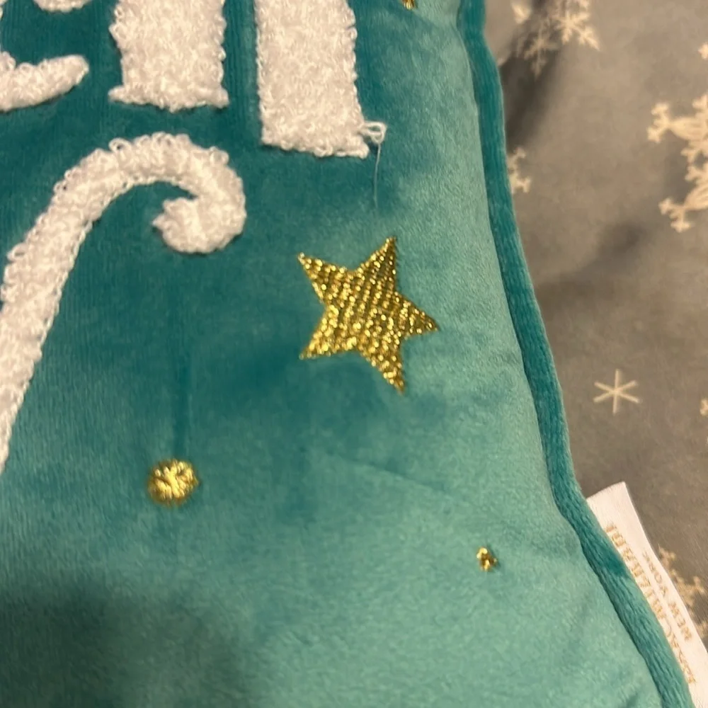 NEW Isaac Mizrahi BAD WITCH ENERGY Pillow